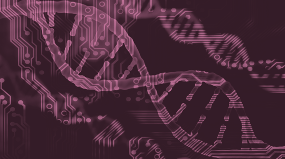 Bioinformatics pink