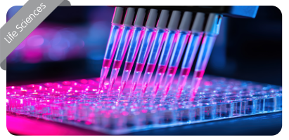 Case Study Imagery New-7