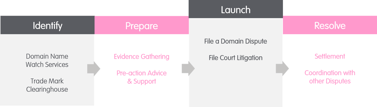 Domain Name Disputes