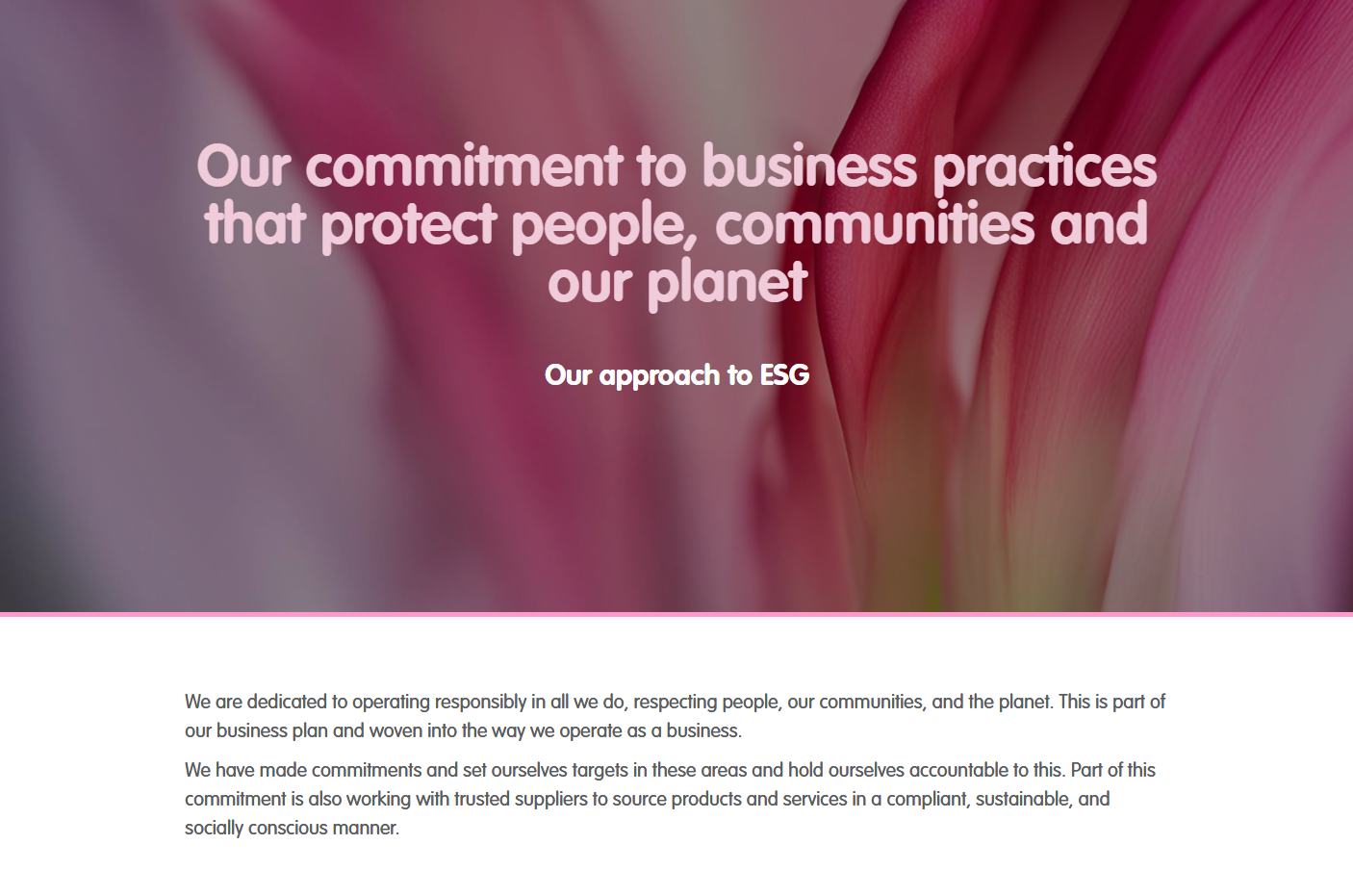 ESG report screenshot