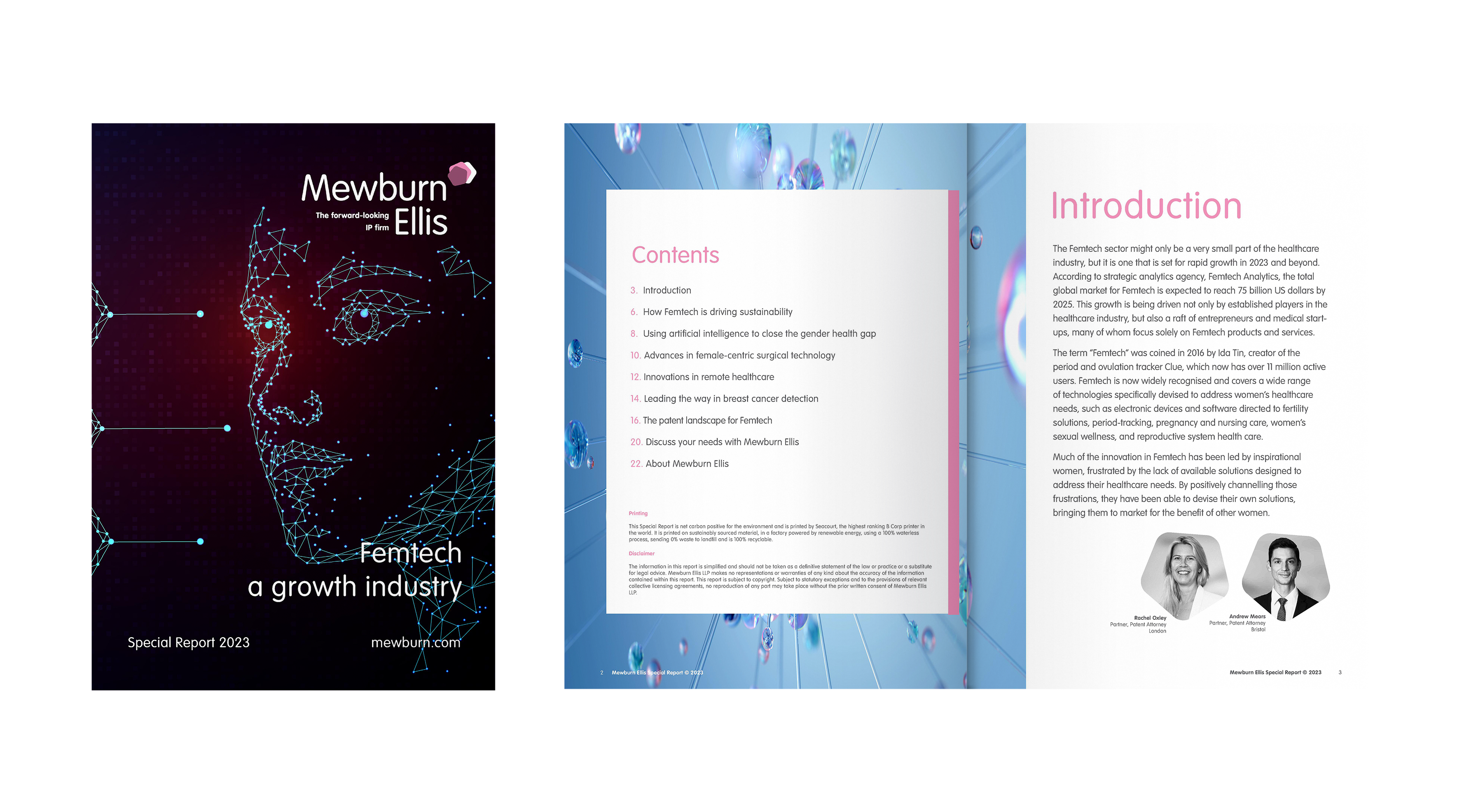 FemTech Report mock-up