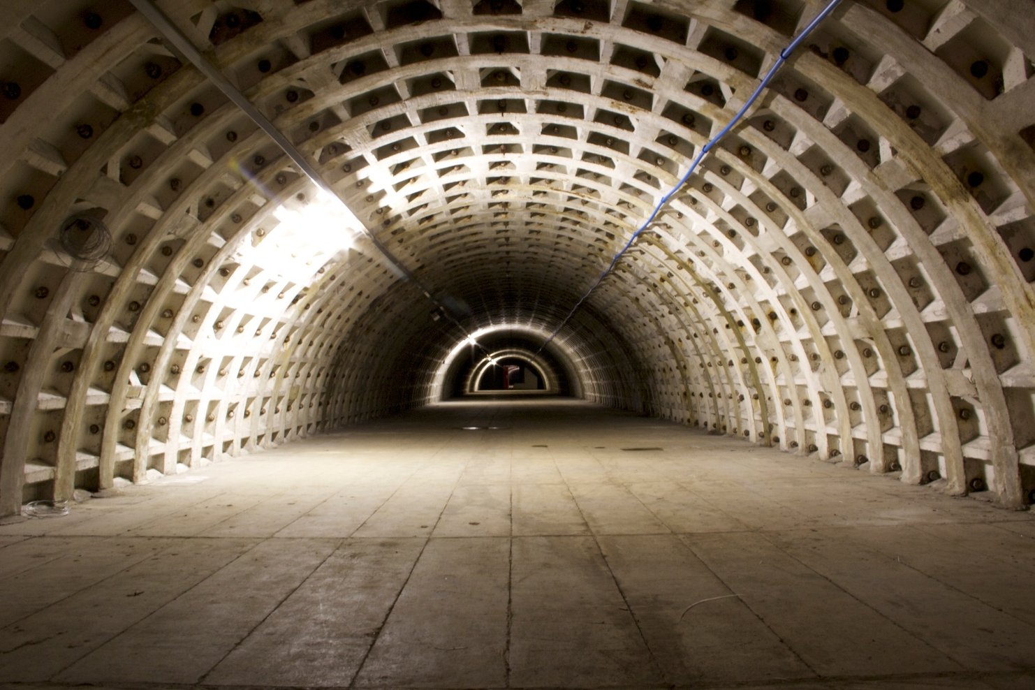Growing Underground WWII Tunnel-1.