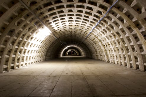 Growing Underground WWII Tunnel-1