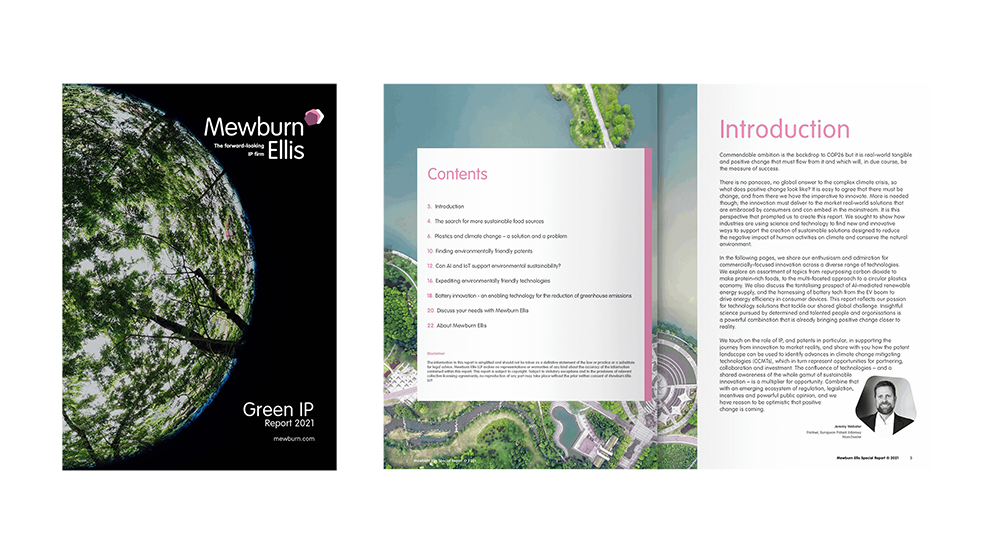 Open pages of Green IP Report