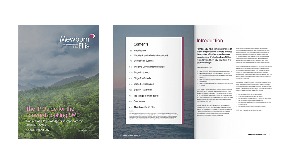 The IP Guide for the Forward-Looking SME
