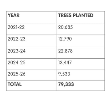 Mewburn Forest Figures