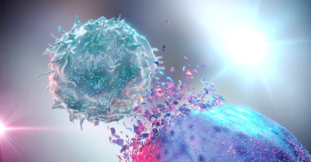 NK Cell (Natural Killer Cell) destroying a cancer cell