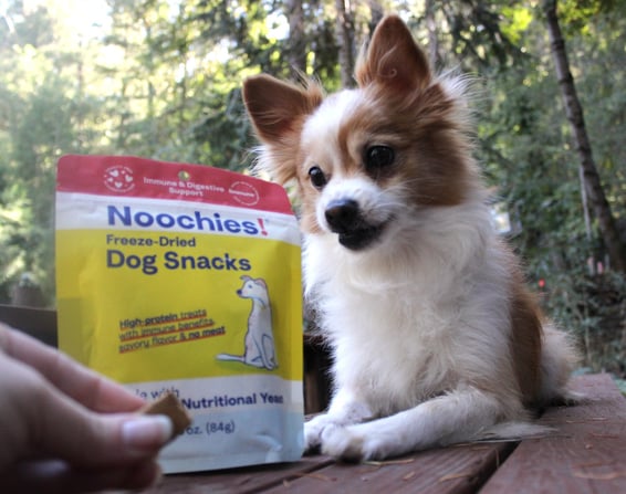 Noochies dog treat