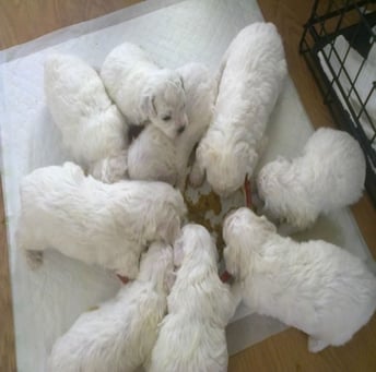 Picture3