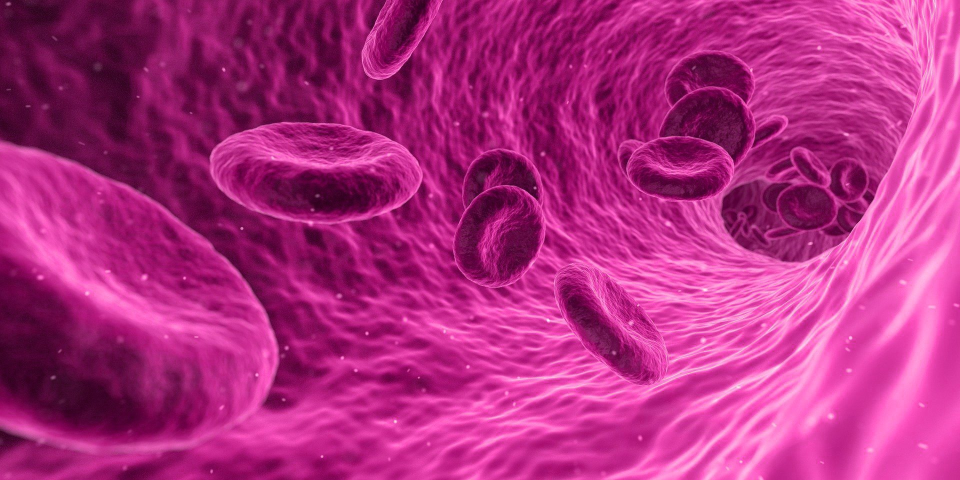 Pink Blood Cells