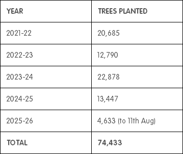 Trees Planted Table