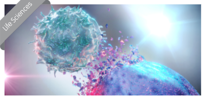 Untitled-2 (1)-3