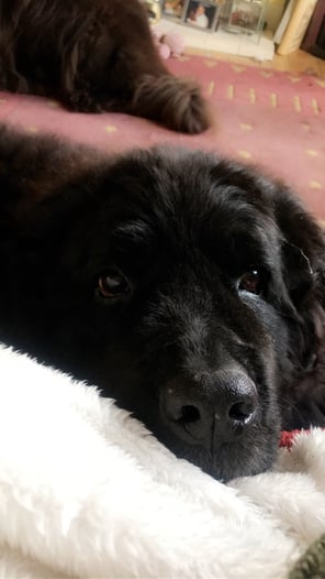 jake1