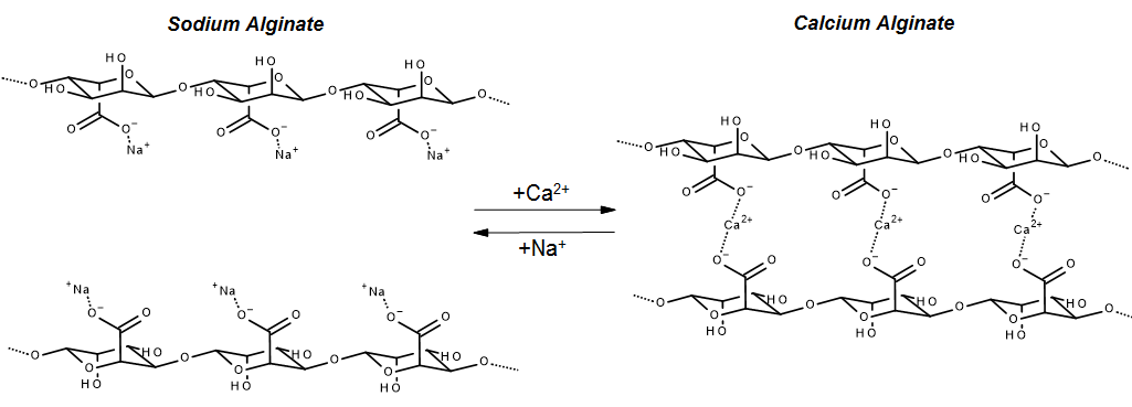 sodium calcium alginate