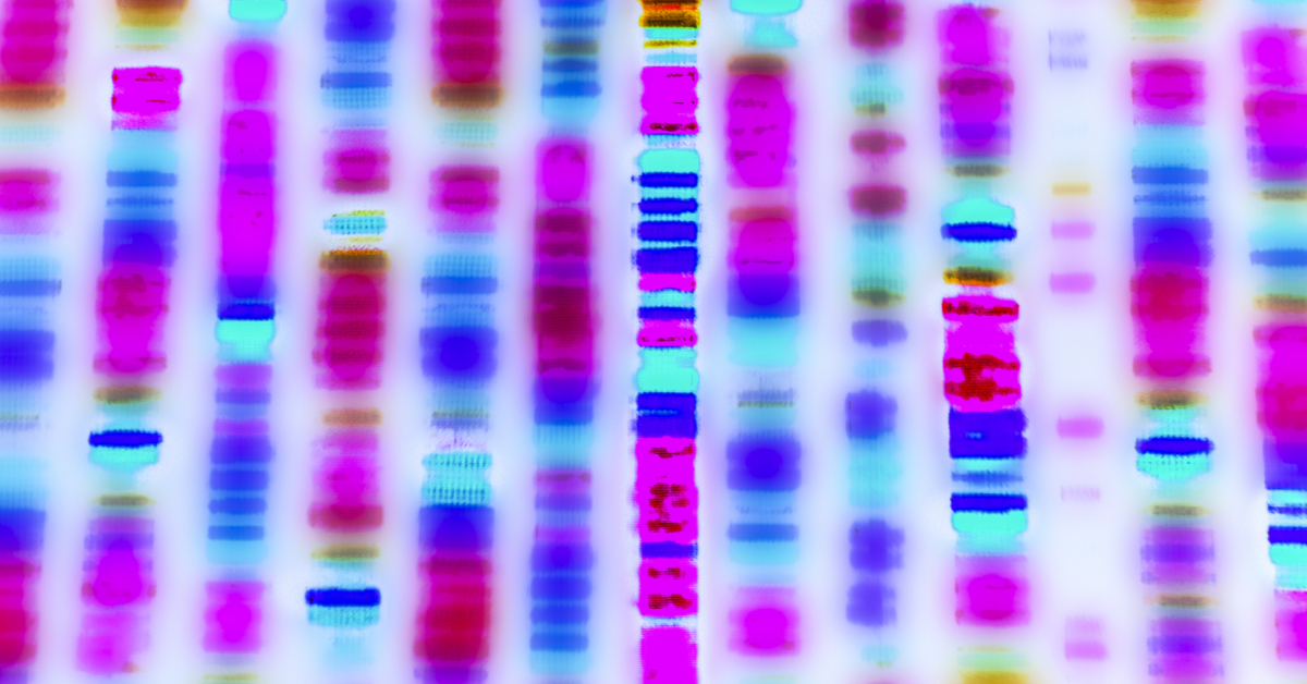 EPO Board of Appeal confirms Broad Institute’s CRISPR patent lacks priority and upholds revocation decision