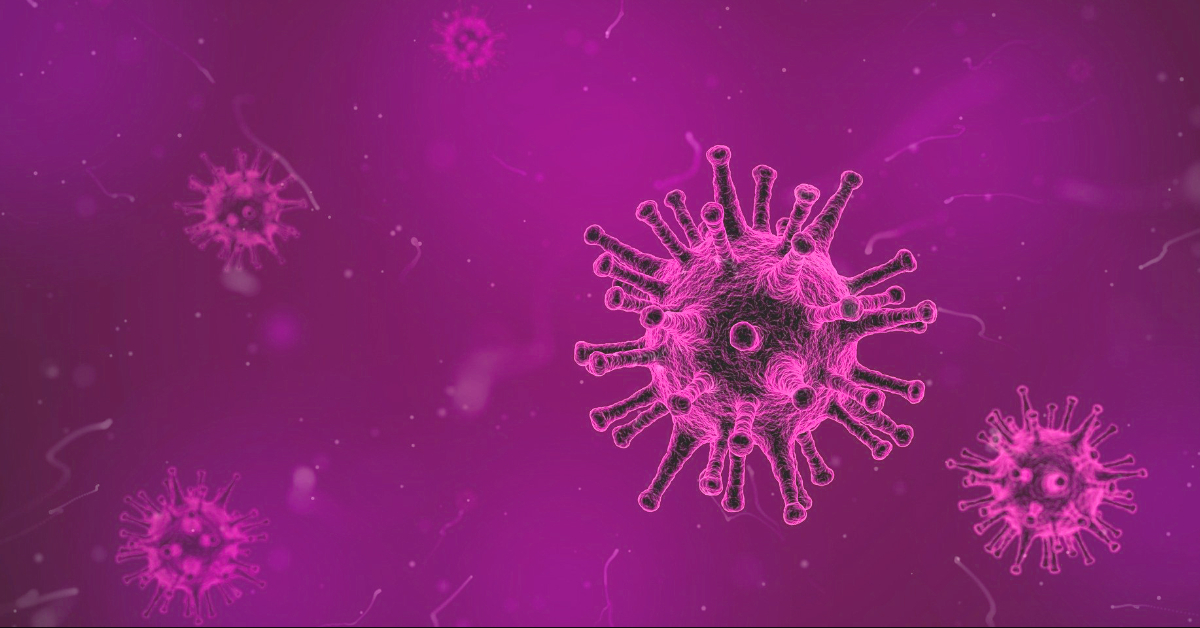 pink virus under microscope