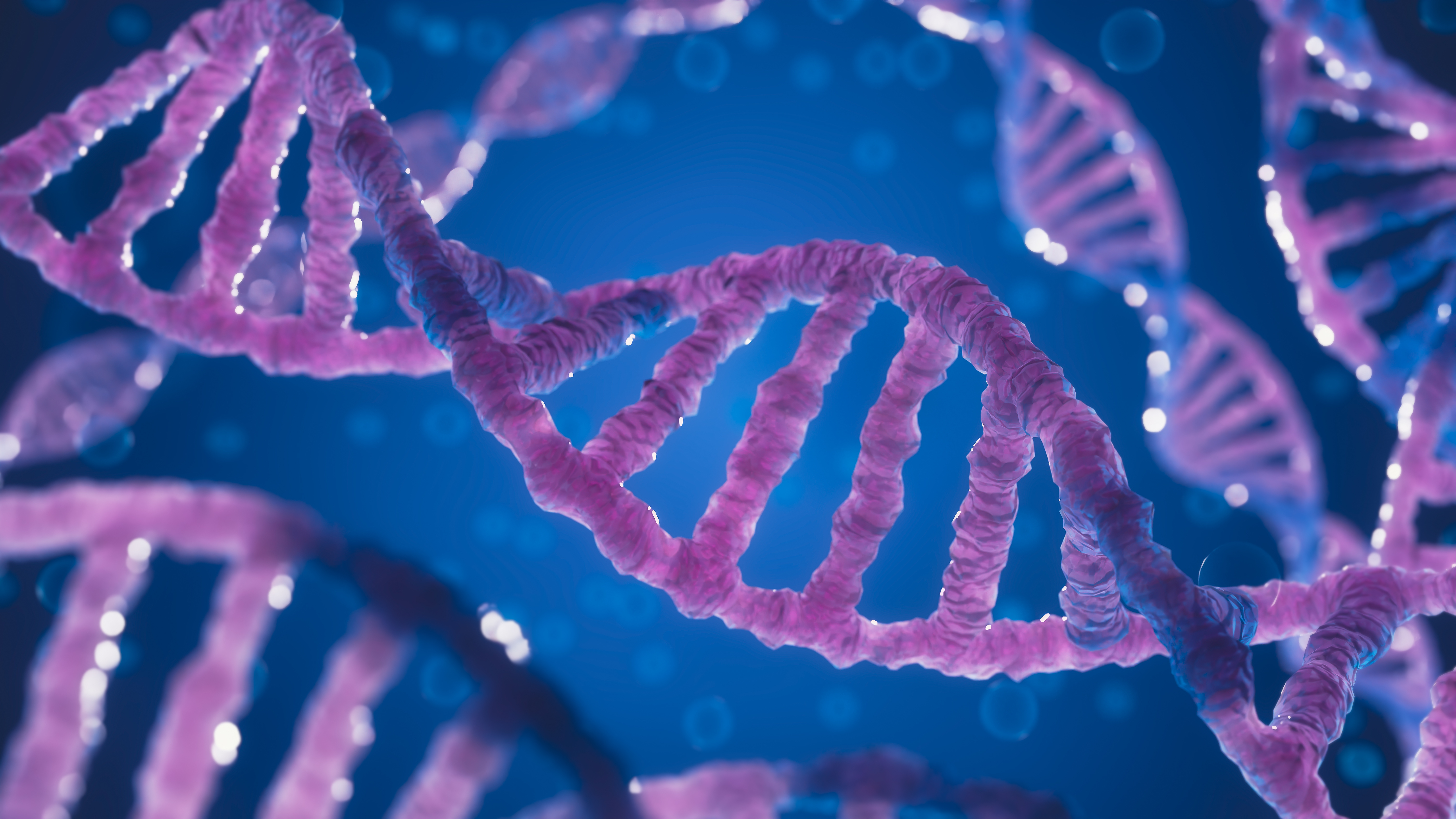 BluMaiden: Pioneering AI-Driven Precision in Immunotherapy Response Prediction