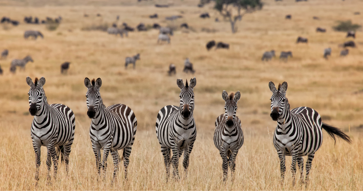 Ask a VC: What is impact investing?