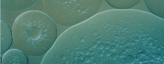 BioNow NW email postcard-3