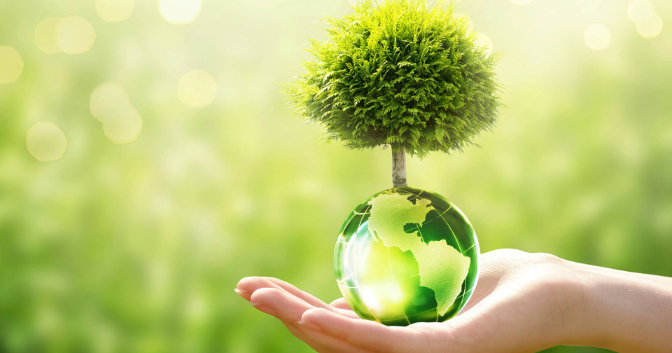 Our Sustainability Group announces £5,000 donation to Project Earth
