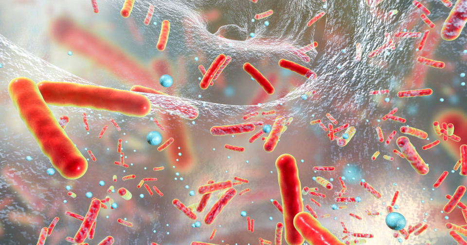 BioTryp’s radical new treatment for bacterial infection