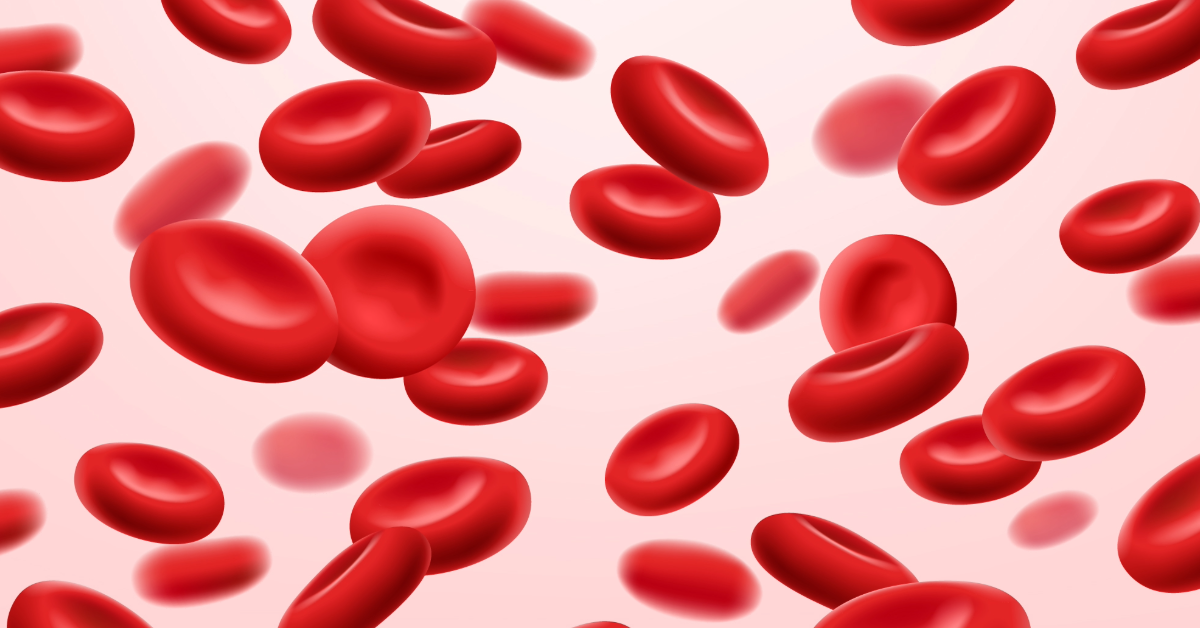 Yoni Health: the medical secrets of menstrual blood