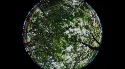 Green Earth-1-1