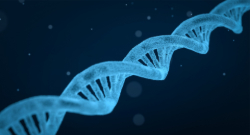 Controlling genes – the new field of epitranscriptomics