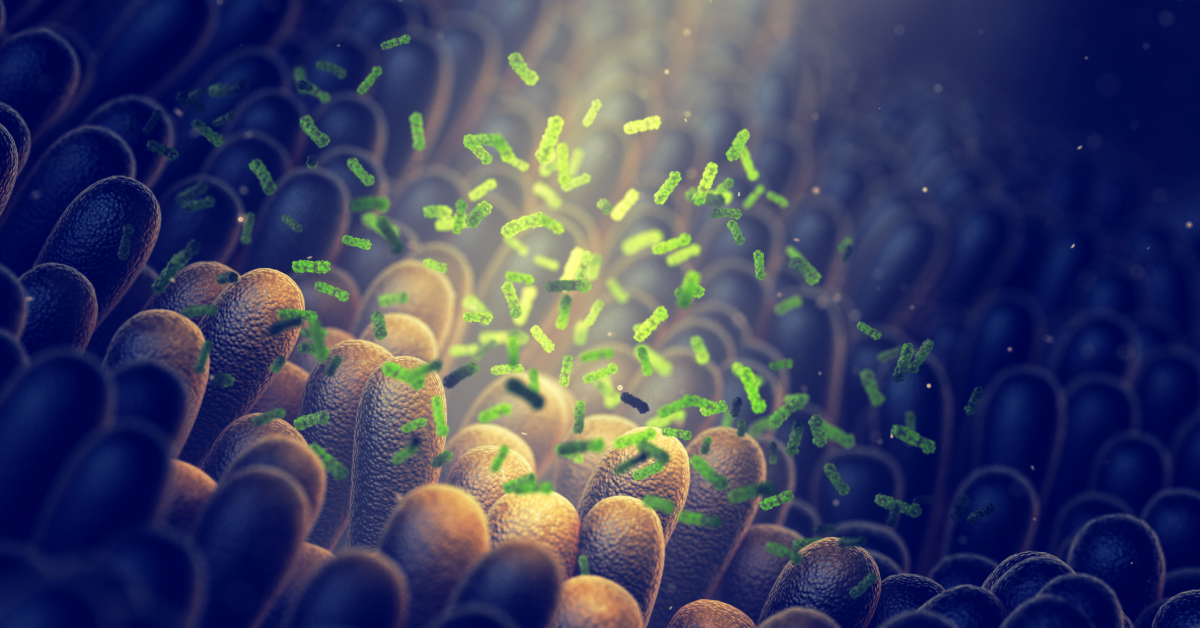 Synthetic probiotics: bacteria that link the gut to the brain