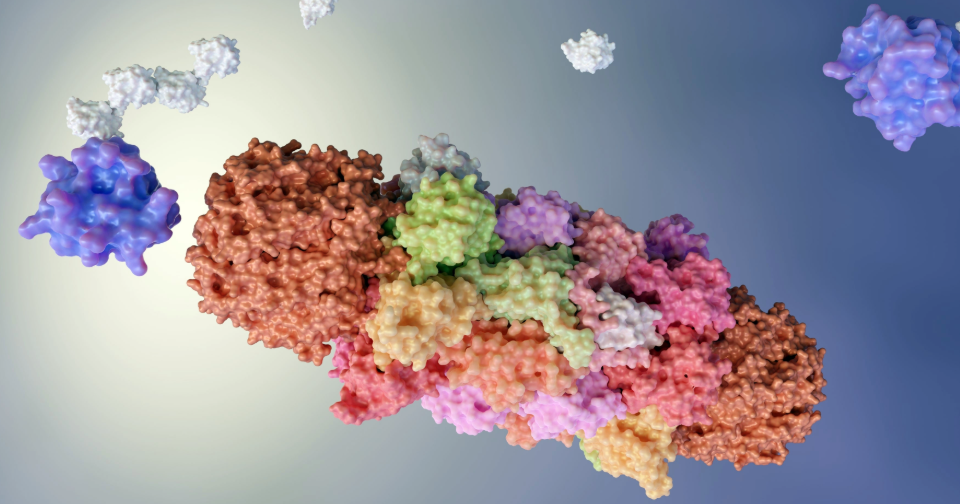 Molecular Glue Degraders (MGDs): what they are, how they work and key IP Issues