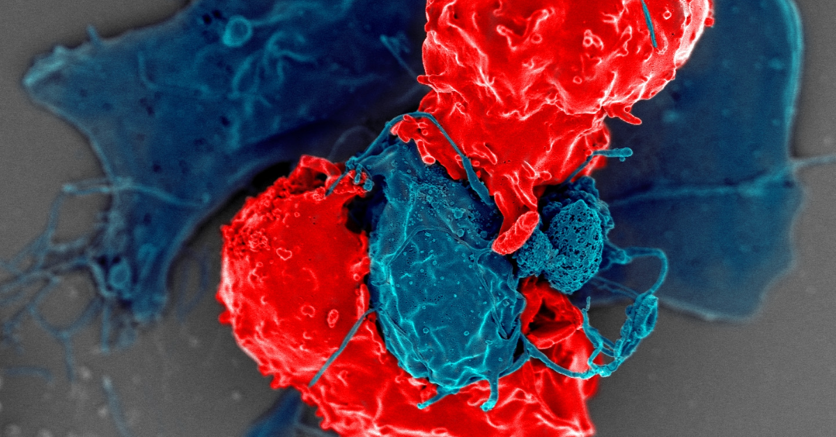Mewburn Ellis Congratulates Prof. Shimon Sakaguchi on Nobel Prize for Treg Cell Discovery