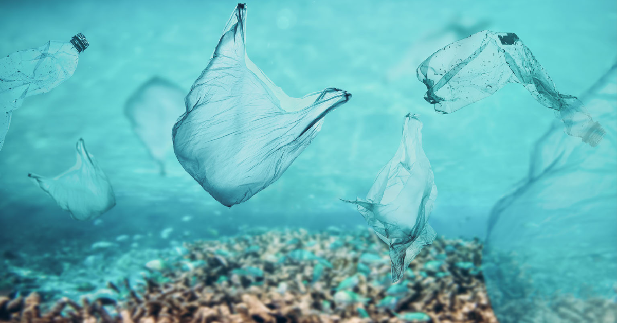World Ocean Day 2023 – Turning the Tide on Ocean Pollution