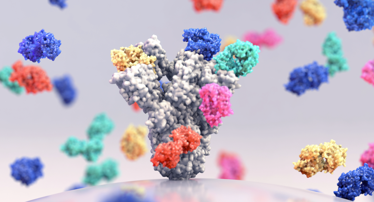 Antibody inventions: Updates in the EPO Guidelines for Examination