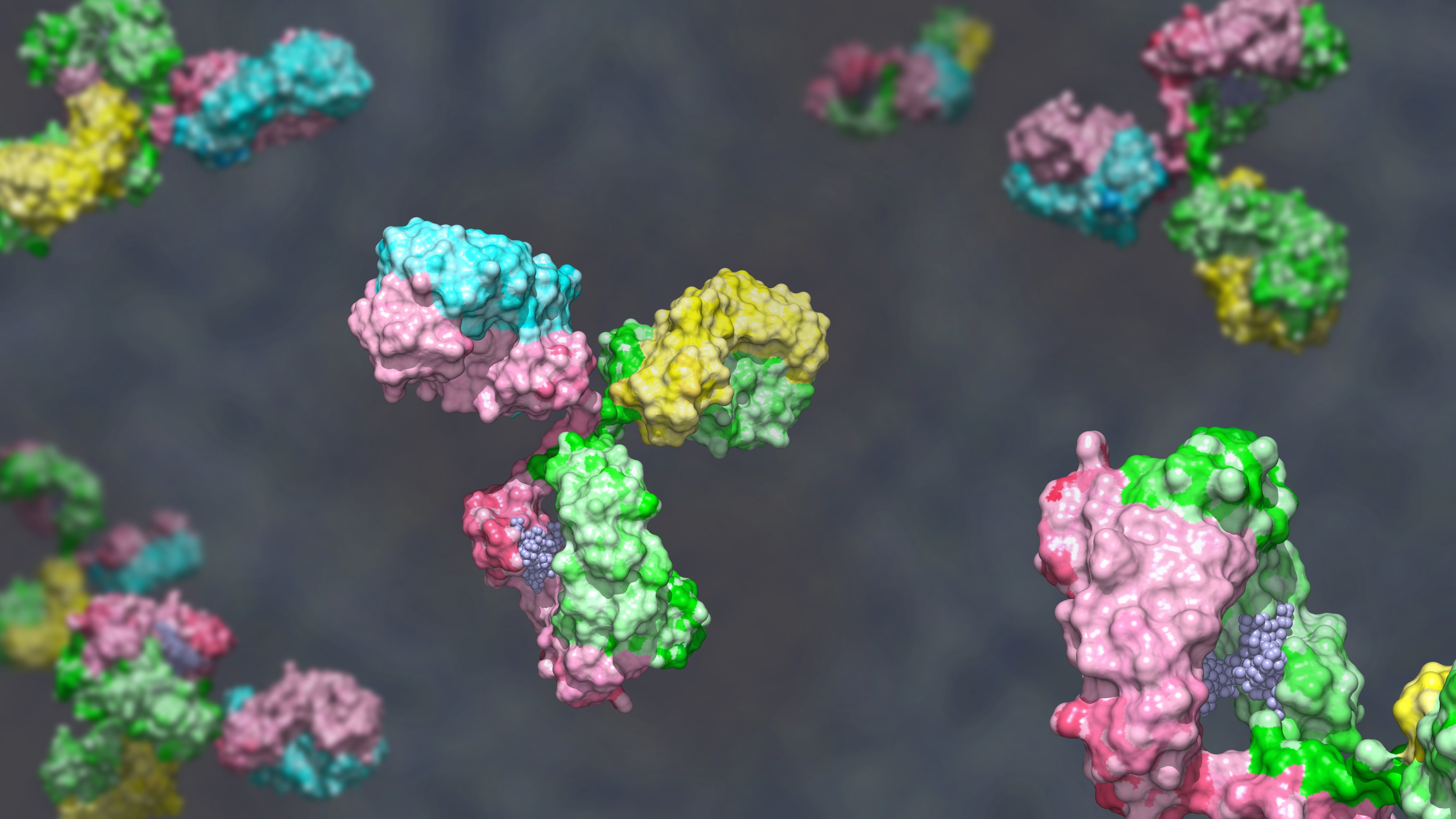 Bispecific antibodies: A new way to combat drug resistance