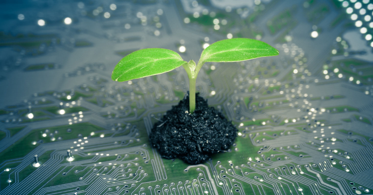 Can AI and IOT support environmental sustainability