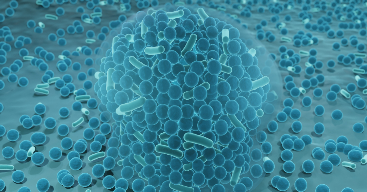 Bacteria: a surface level understanding
