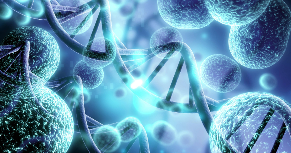 Patent Strategies for Cell-based Therapeutics