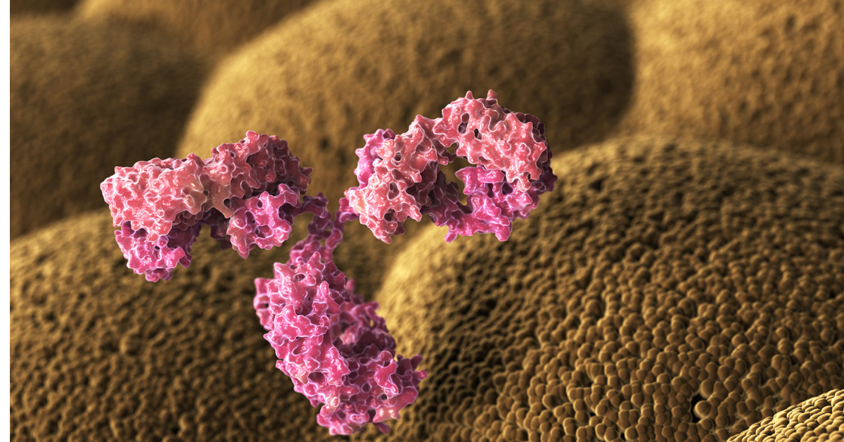 epitope structure-1