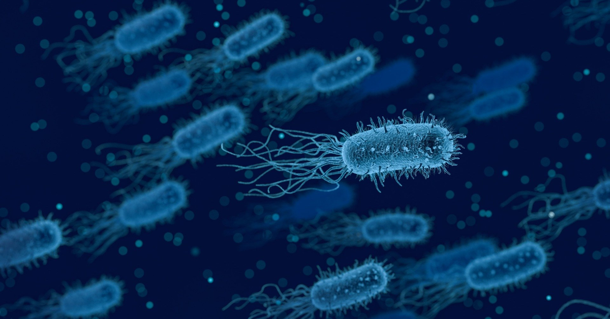 Microbiome: Meet your multitude