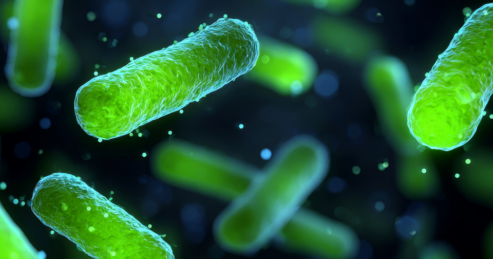 The global boom in microbial crop solutions and what it means for your IP strategy