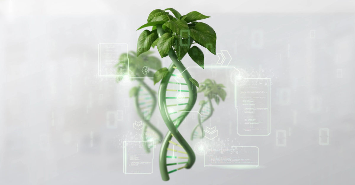 European Parliament votes to endorse plants bred using New Genomic Techniques