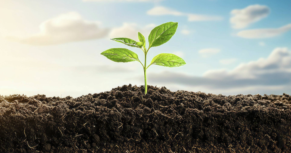 A Boost for Sustainable Agriculture: The Promise of the US “Plant Biostimulant Act”