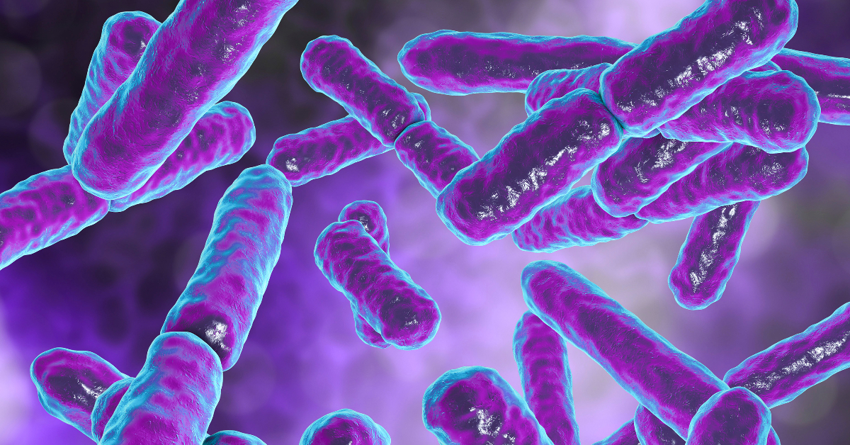 Darobactin – worming our way out of antibiotic resistance